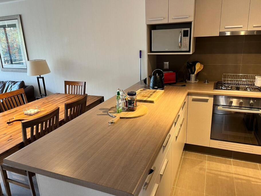 Apartamento Departamento Amplio Y Acogedor Costa Pucón